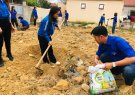  THUẬN MINH TỔ CHỨC TẾT TRỒNG CÂY            "Đời đời nhớ ơn Bác Hồ xuân Ất Tỵ năm 2025"  