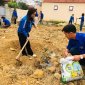  THUẬN MINH TỔ CHỨC TẾT TRỒNG CÂY            "Đời đời nhớ ơn Bác Hồ xuân Ất Tỵ năm 2025"  