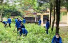 THÔNG BÁO  ra quân tổng dọn vệ sinh môi trường đón các Đoàn thẩm tra của các sở, ngành cấp tỉnh về các tiêu chí trong xây dựng huyện Nông thôn mới nâng cao.   
