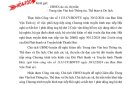 Thông báo về chương trình truyền hình trực tiếp vào lúc 20 giờ ngày 30/12/2024 của Đài truyền hình Thanh Hóa