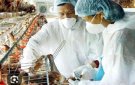 Thông báo đảm bảo an toàn cho vật nuôi trong mùa mưa lũ.