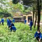 THÔNG BÁO  ra quân tổng dọn vệ sinh môi trường đón các Đoàn thẩm tra của các sở, ngành cấp tỉnh về các tiêu chí trong xây dựng huyện Nông thôn mới nâng cao.   